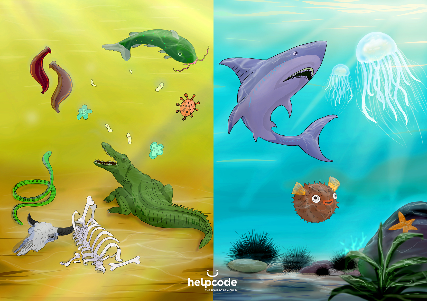 Illustrazioni degli animali che si trovano sott'acqua